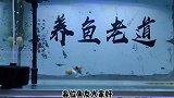 鱼缸氧气泵供氧量太大，没有调节阀，如何把供氧变小呢？