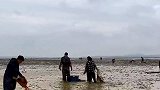 中国第一大淡水湖鄱阳湖干旱，村民到干涸水域捡鱼