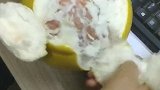 全抖音剥柚子第一快，不信比划比划