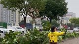 想拿根棍子回家却实在找不到借口
