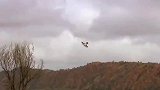 这么多的虎皮鹦鹉一起从天空飞过，真的是遮天蔽日