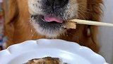 小飞鱼来咯！一整条高温汽蒸的沙丁鱼