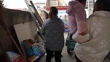 鸽子去姑家拉红薯，铁锤看见主人很兴奋，趴在鸽子腿上想多待会儿