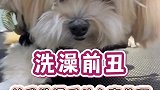 洗澡前乱七八糟，关我洗澡后什么事啊？