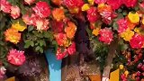 春从来不语，却温柔了世界，花从来不言，却芬芳了人间