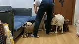 赛文一家拍全家福，小迷糊坐C位，表现十分抢眼