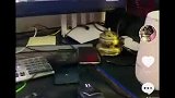 抖音里面的车库皇帝张大龙！