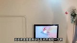 爆笑就是等你这句话