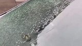 女子用开水给挡风玻璃融冰，冰化了玻璃也裂了
