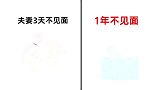 夫妻“1年不见面”，重聚当晚会发生什么？太真实精辟了