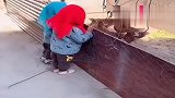 奶奶带娃一个星期，爸妈回家后都不敢认了，看完别笑