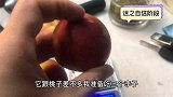糖人杰:没想到的惊喜,三个李子”翻车“,细想是一种意外的感觉