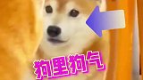 老铁，你说他俩像不像！