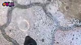 爆笑：这么漂亮的妹子，你能看多久