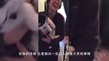让哈士奇看护宝宝，一发现宝宝在哭泣，二哈反应让人笑喷