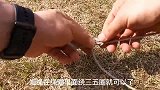营钉结，露营，拉天幕、搭帐篷，必会的两种绳结技巧