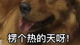 电费那么贵！凭什么给你开空调！