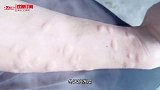 狗：看你这眼神 是要干一架的意思啊