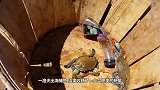 渔夫抓到一只大螃蟹，手指轻轻一按，整个外壳瞬间陷进去