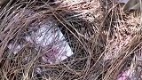 你们嘴里的金窝银窝不过是嘴上说说