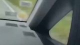 男子驾车发现树上一人一熊僵持不下，只能祝他好运了