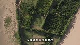 世界最拥挤国家，人口密度是中国的好几倍，像“马蜂窝”一样！