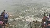 鲤鱼们在跃龙门，钓鱼佬都用网来抓鱼，这才是真正的流水线