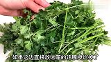 保存香菜直接放冰箱就错了，简单2步，不烂叶不发黄，半年都新鲜