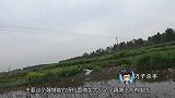 藕塘老钓位，好多黄金鲫鱼，长杆短线七星漂钓得真舒服