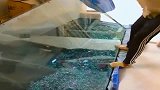 钢化玻璃的弱点，原来在这里！敲这个地方一下就碎了！