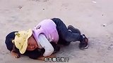 猫：此情此景，我想吟诗一首