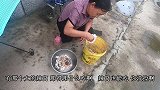 捡点野蘑菇炖鸡块，野蘑菇有没有毒？东北大妈这个辨别方法实用