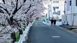 在奈良的小路随手拍，一对情侣走出来就瞬间脑补一出偶像剧