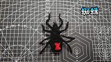 手工创意DIY扭扭棒黑寡妇蜘蛛