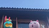 今日是丽江喵村，每日介绍一处丽江美景！