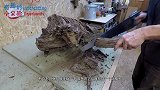 一个腐烂树根还能转眼身价倍增？看老外神操作，雕刻出精美凤凰蛋