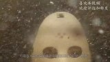新疆喀纳斯湖现巨型“水怪”？科学家捕捉两个月，真捉到了数十条