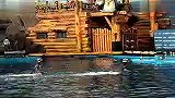 旅游-海豚顶球