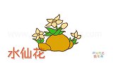 植物简笔画大全，画含苞待放的水仙花简笔画