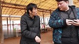 小偷行窃正得意，谁知螳螂捕蝉黄雀在后