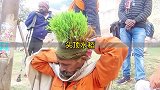 印度最狠的男人，把水稻种到了头发上