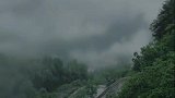 春去春又来，怎奈人生有去无来，好好珍惜，一生不易。