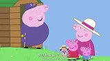 小猪佩奇过大年：猪爷爷的飞机很失败啊，这才刚飞一会