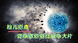 科普胎儿是怎么形成的！竞争激烈堪比战争大片