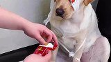 干完这票大的，咱们就收手