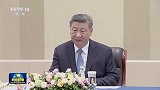 习近平会见塞尔维亚总统
