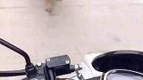 没猜错的话，我怕是摊上事儿了