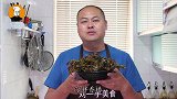 香椿到底要不要焯水？教你正确做法，鲜香味美营养好！