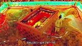 秦始皇陵有多可怕？专家：就算能活着出来，也活不过两年！