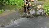 意外的发现小河沟竟然有那么多鱼？撒网捕鱼太爽了